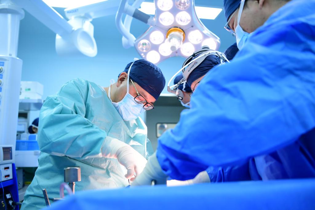 胰腺癌精准免疫治疗难题有了新突破