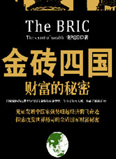 《金磚四國》