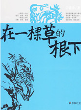 白連春：在一棵草的根下