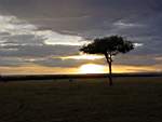 DSC00042.JPG