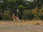 DSC00044.JPG
