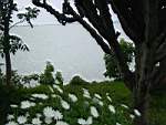 DSC00045.JPG