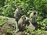 DSC00092.JPG
