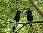DSC00100.JPG