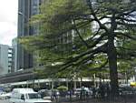 DSC00142.JPG